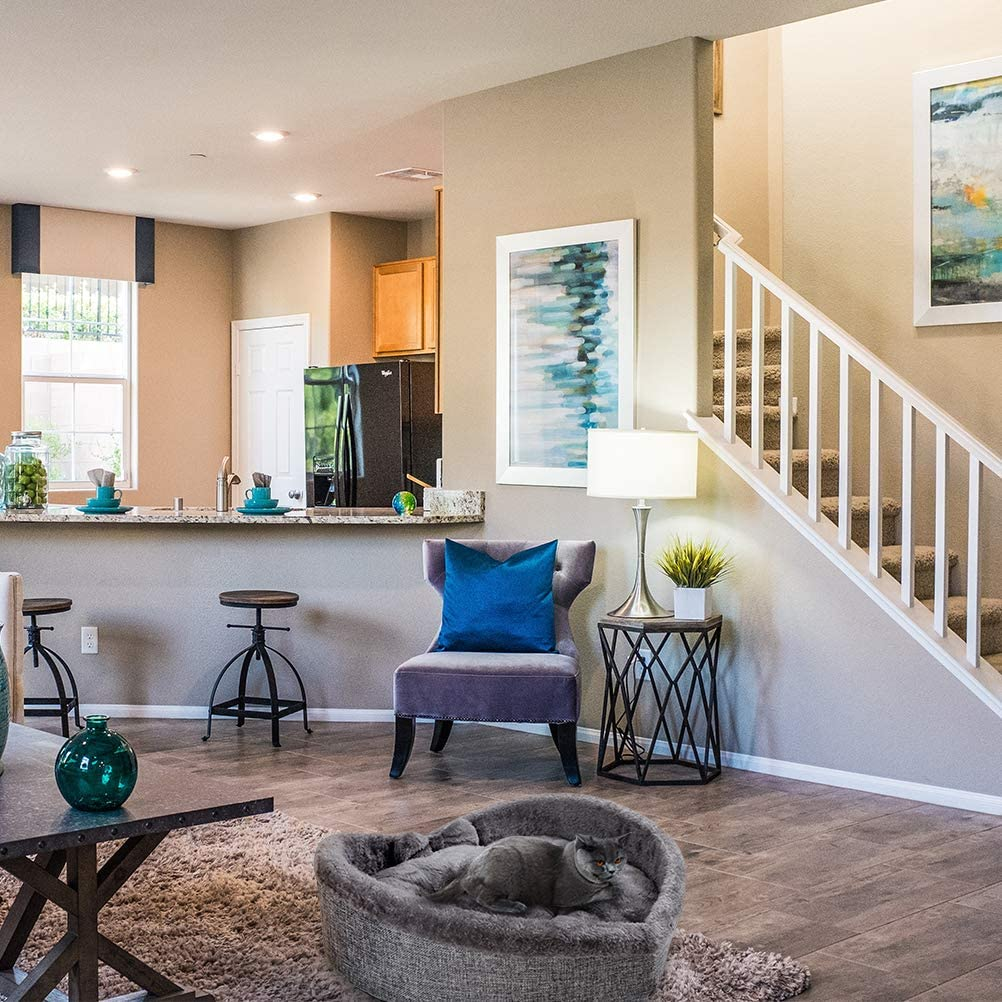 Heart shaped Pet Bed for Cats or Small Dogs, Ultra Soft Short Plush, Anti-Slip Bottom, Washable High Resilience PP Cotton, Comfortable Self Warming Autumn Winter Indoor Sleeping Cozy Kitty Teddy - Image 7