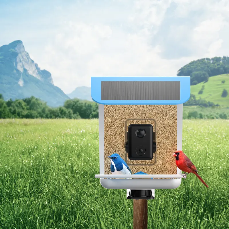 Chirp Cam Bird Feeders - Smartest Bird Feeder Camera with AI over 11,000 Species Identification - Image 3