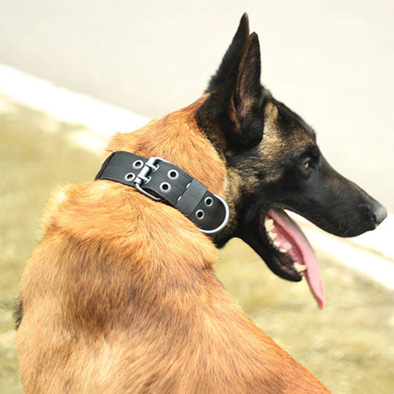 2" Wide Tactical Heavy Duty Nylon Large Dog Collar K9 Military with Metal Buckle - Image 21