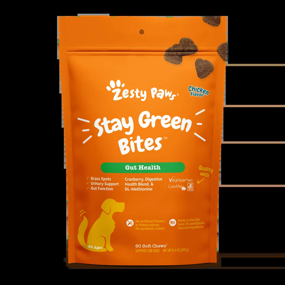 Gut Health Senior Advanced Probiotic Bites for Senior Dogs, Gut Flora & Immune Support, Functional Digestive Health Dog Supplement, Chicken Flavor, 90 Count Soft Chews - Image 13