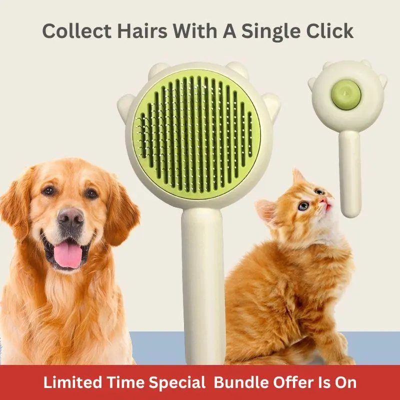 Pamper Your Cat with Our Shedding Button Cat Brush – the Perfect Valentine'S Gift for a Well-Groomed and Happy Pet. Order Now for a Smoother, Cleaner Grooming Experience! - Image 6