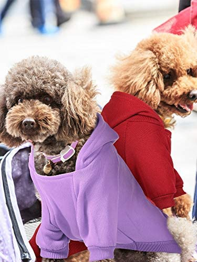 4 Pieces Small Dog Sweaters Dog Hoodie Clothes with Hat for Small Dogs Boy Chihuahua Clothes with Pocket Puppy Pet Winter Clothes Warm Hoodies Coat Sweater Shirt (XXS) - Image 4